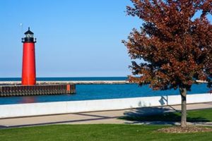 Kenosha lighthouse in the background with a tree and path in the foreground